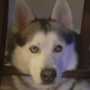 Meet your Posher, Adrian